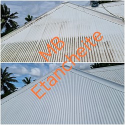 peinture toiture martinique